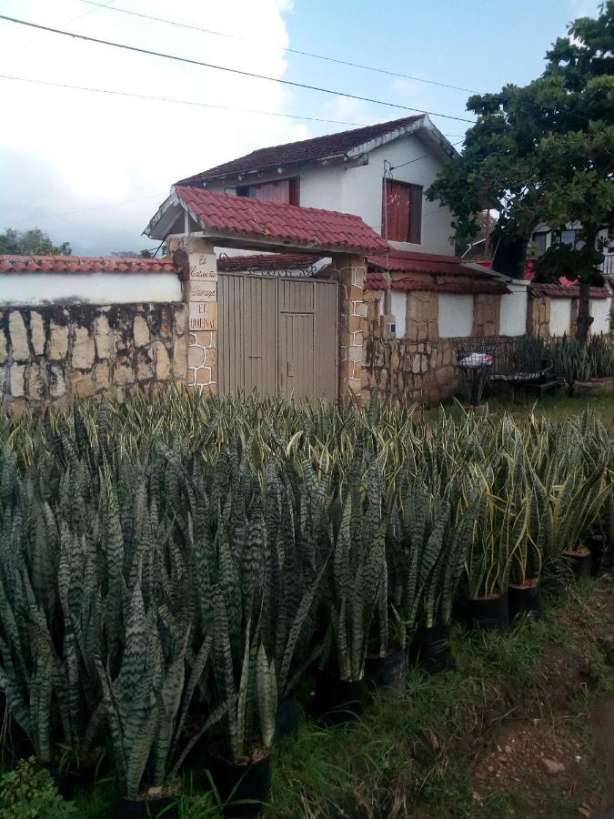 El Ensueno * Chinauta